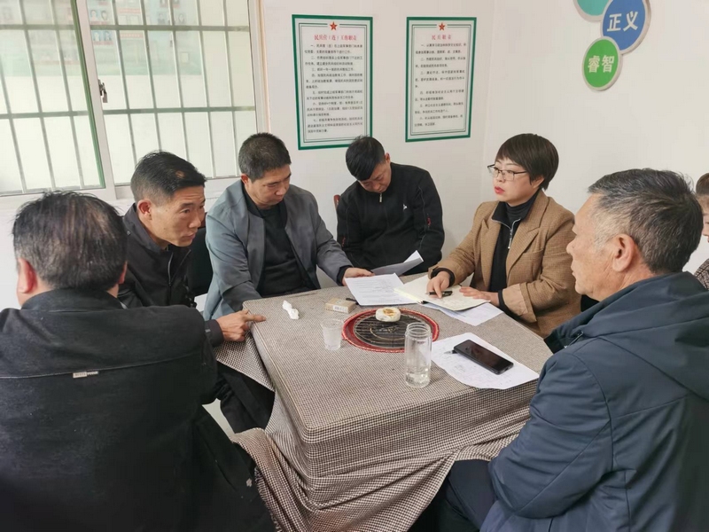莲花村支书陈丹组织党员群众代表商议村集体产业发展思路。